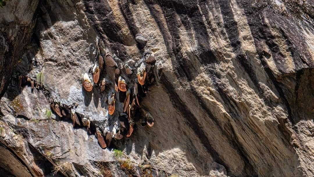 Waiba Adventure Trek景点图片