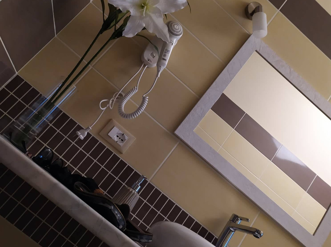 Le Donne Di Giannino主图