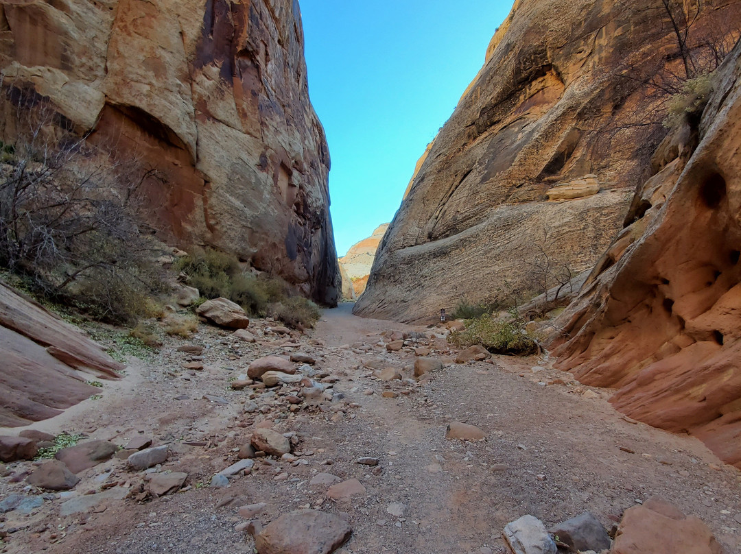 Capitol Gorge Trail景点图片