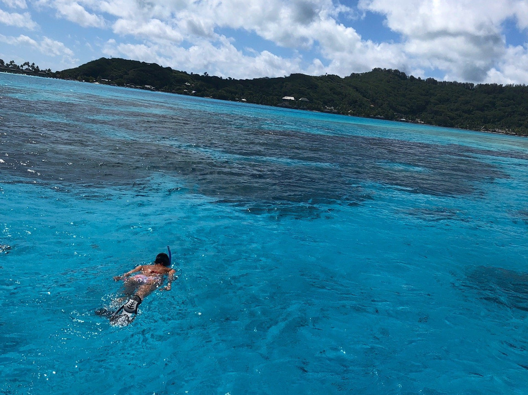 Lagoon limousine Bora Bora-波拉波拉岛必去景点