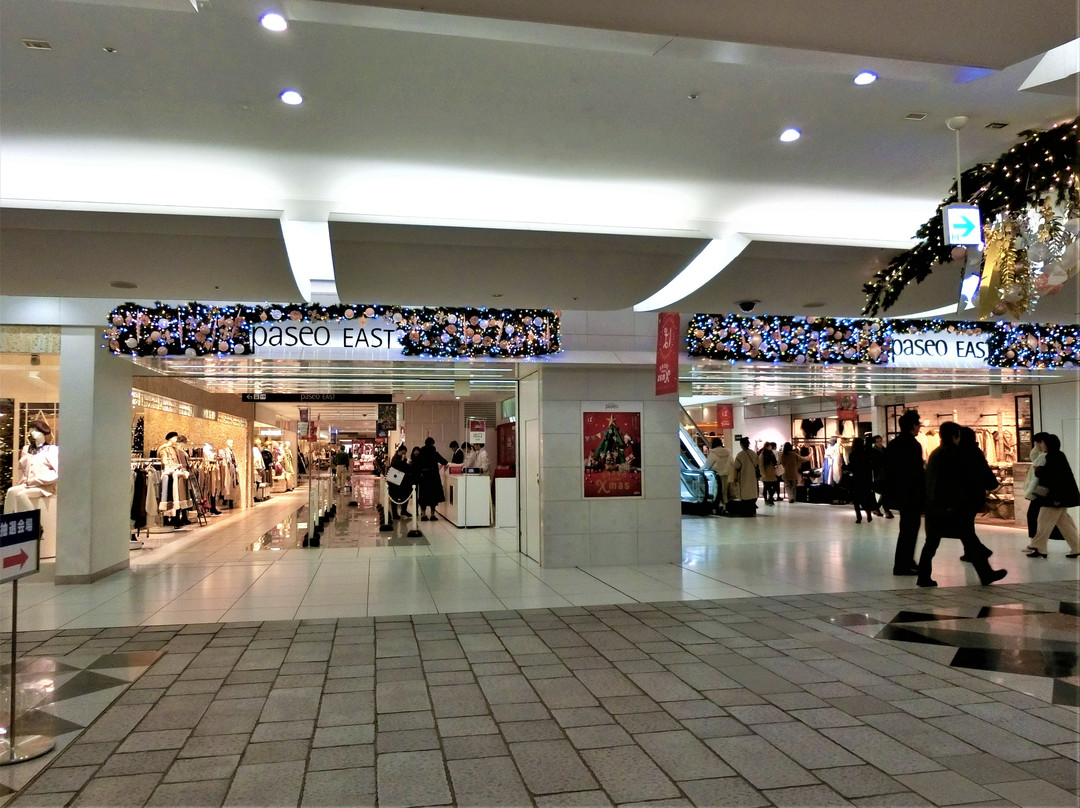 札幌JR塔Paseo购物中心景点图片