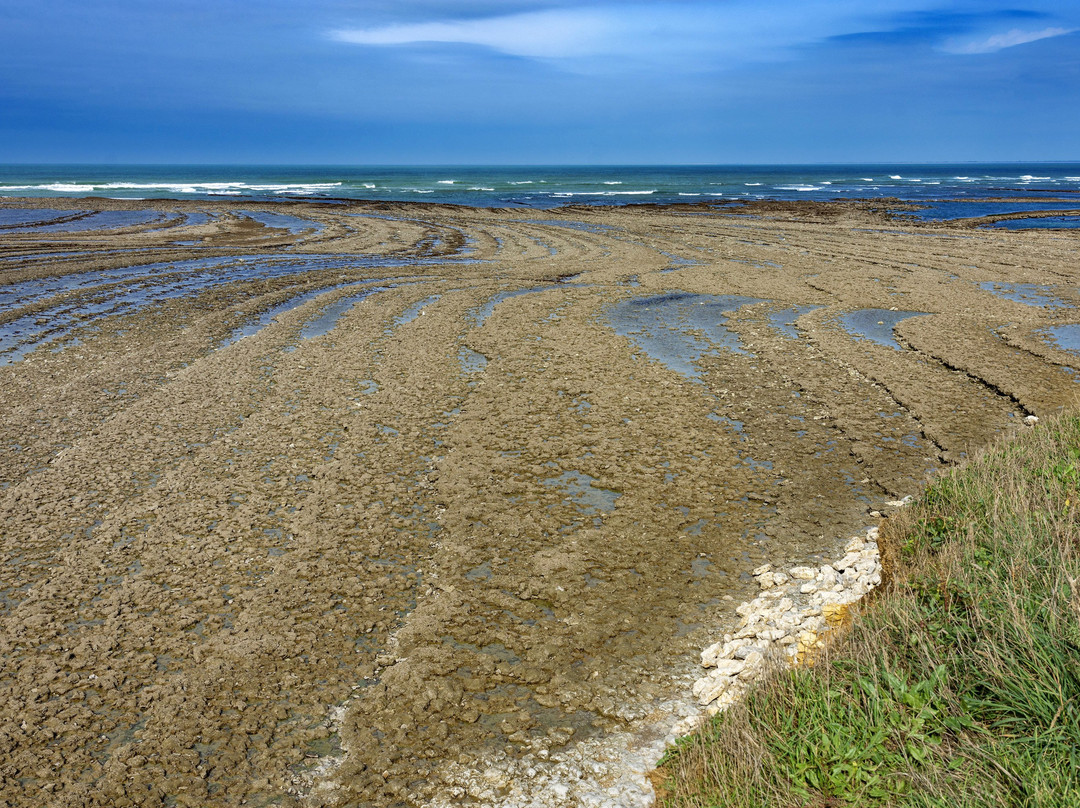 Pointe de Chassiron景点图片