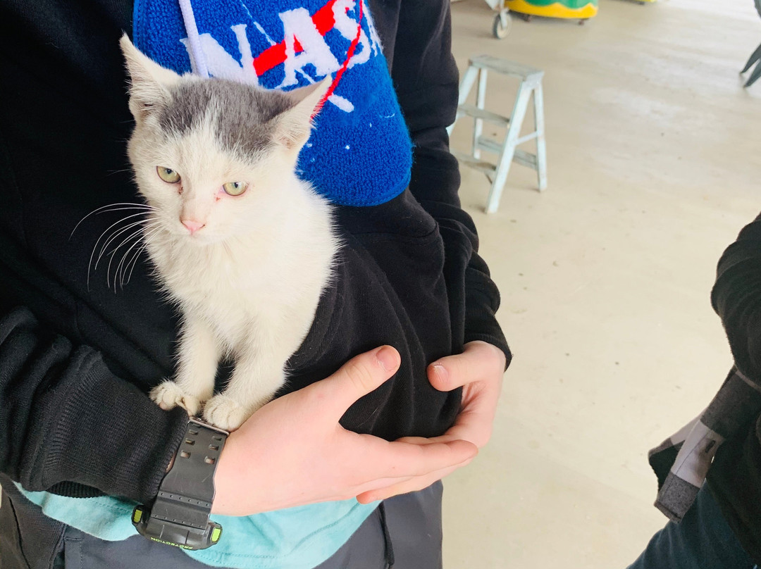 Preston Trail Farms-Gunter必去景点