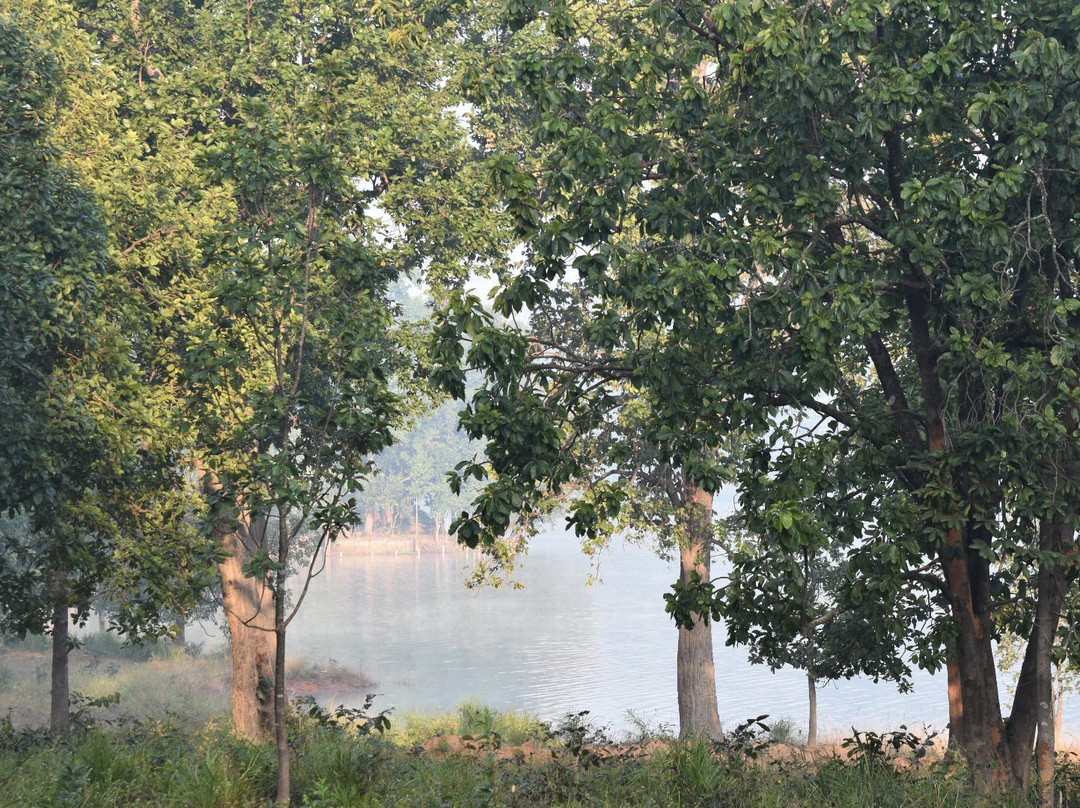 Sarafgarh Dam景点图片