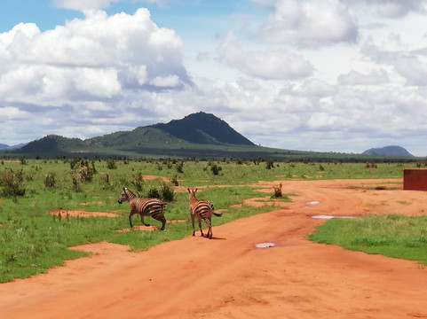 Adventure Mara Tours-蒙巴萨必去景点