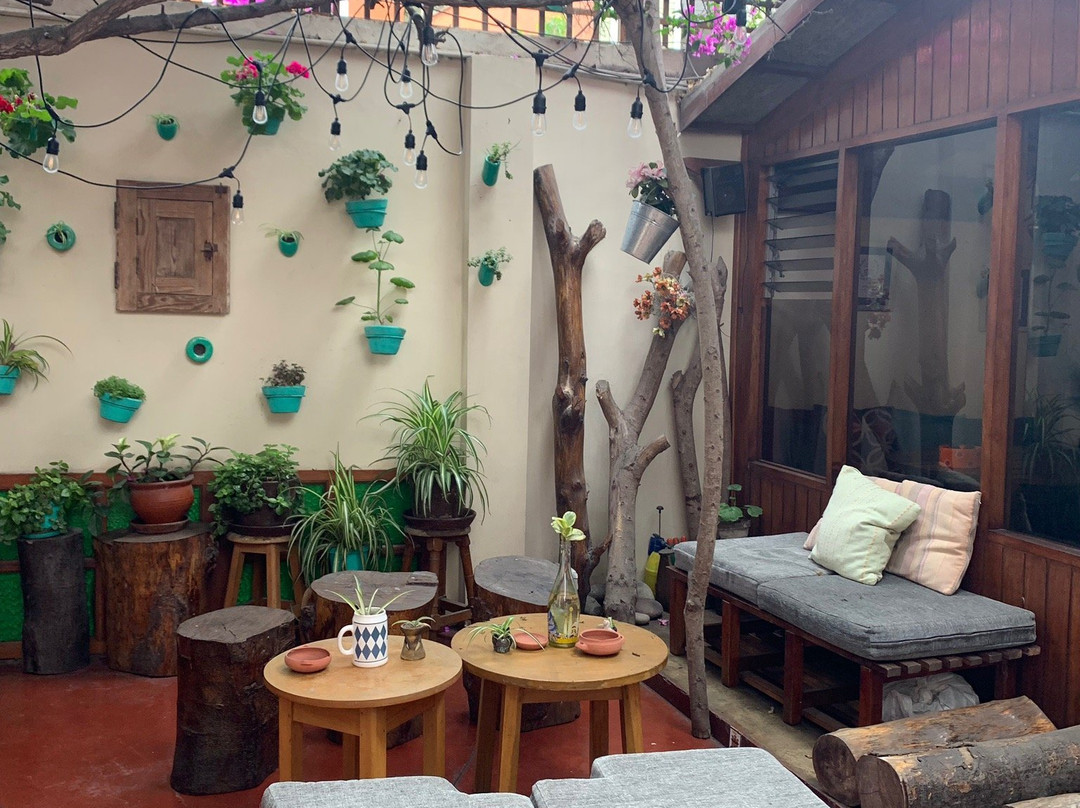 D'Osma Bed & Breakfast主图