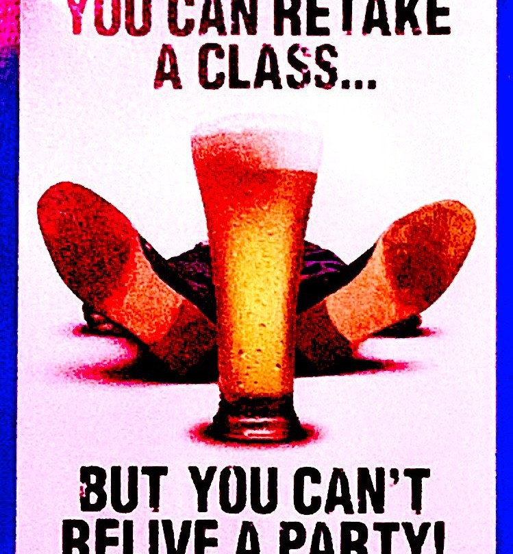 The Parrot's Cay-大福克斯必去景点