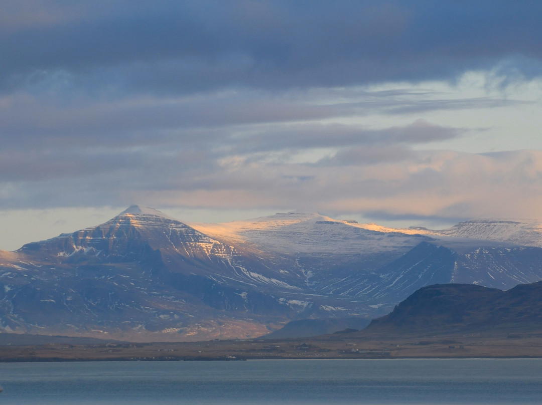 Eyja Guldsmeden Hotel主图