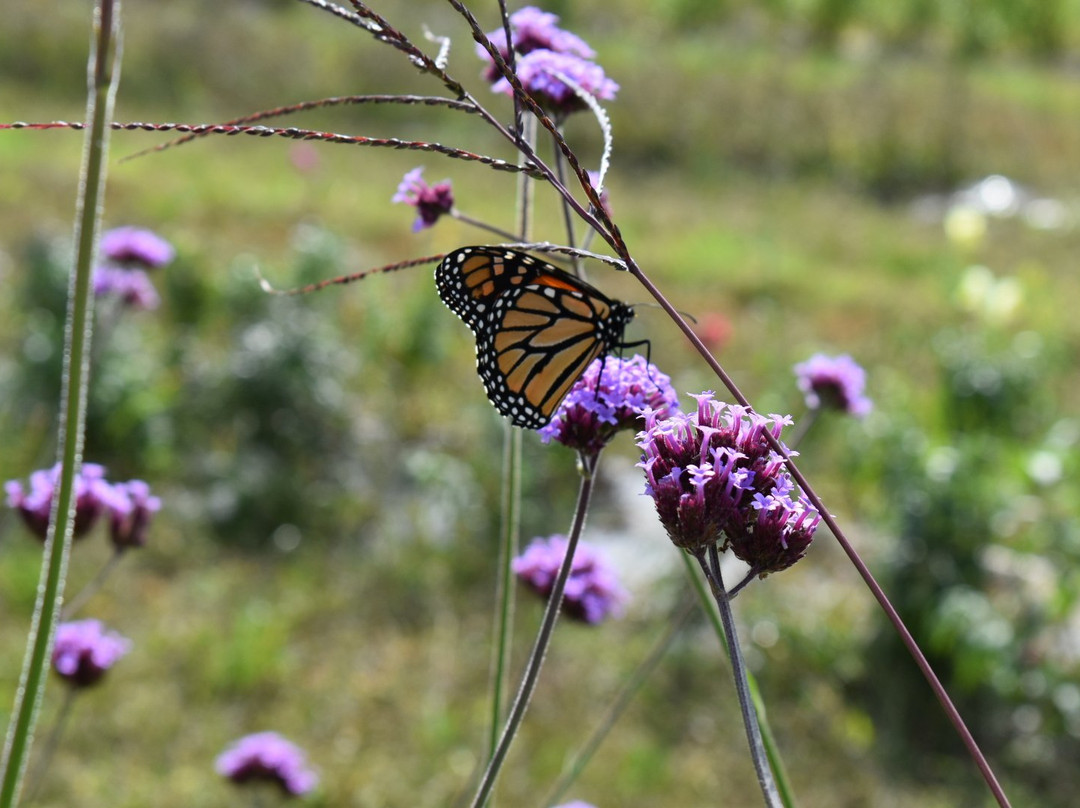 Moulton Farm-梅勒迪斯必去景点