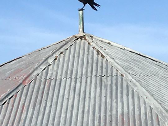 Dawoud Sulayman - Simien Mountains Tours-贡德尔必去景点