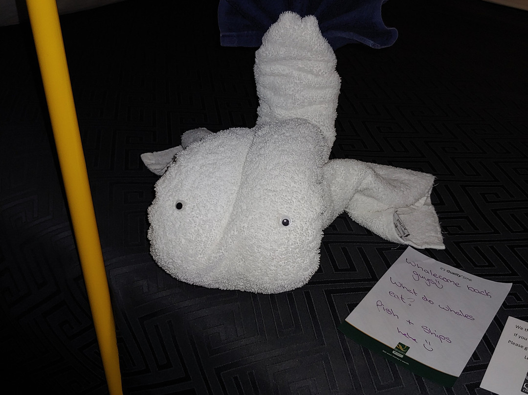 Chateau All Suites Hotel主图