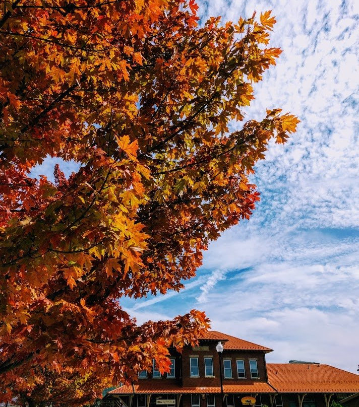 Elkins Depot Welcome Center CVB, Inc.-Elkins必去景点