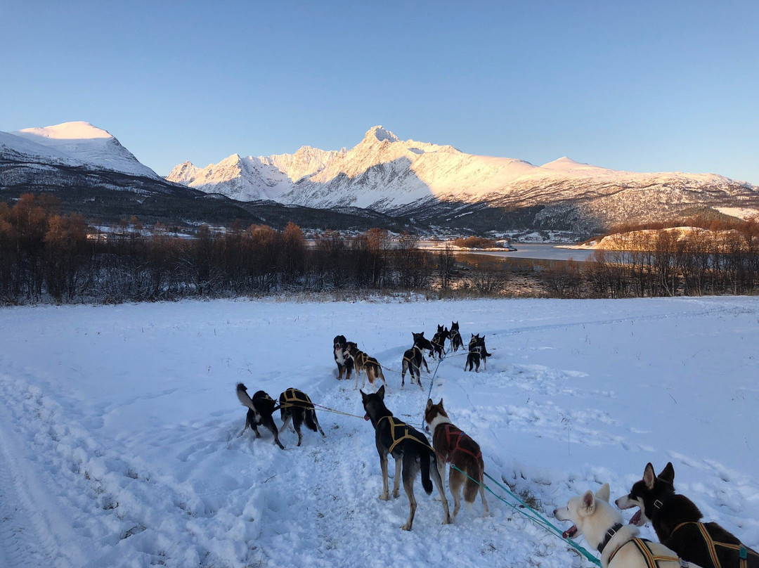 Team Lyngen景点图片