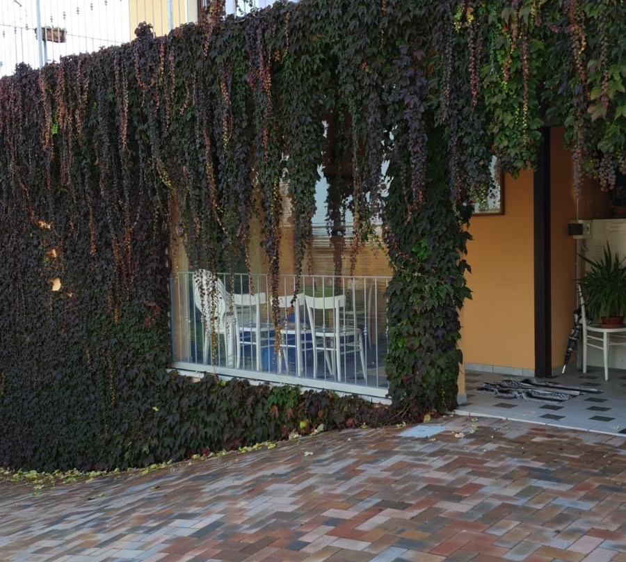 伊尔格拉珀罗凡坎兹酒店主图