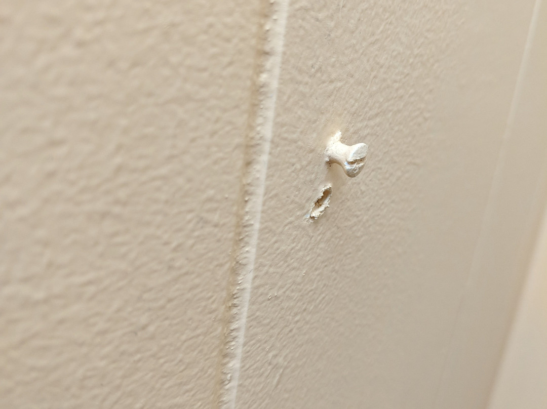 蓝色海豚旅馆主图