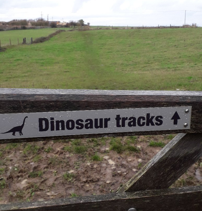 Keates Quarry Dinosaur Footprints景点图片