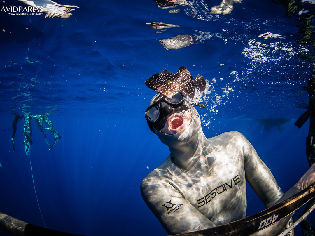 Freedive Hawaii景点图片