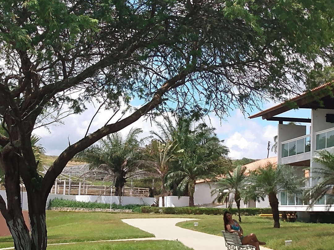 Villa Hipica Resort主图