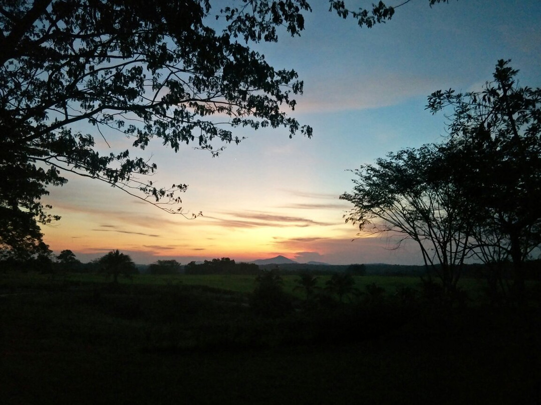 UK Farm-居銮必去景点