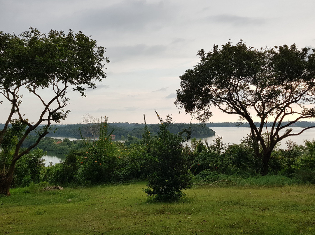 The Green Lagoon Villa主图