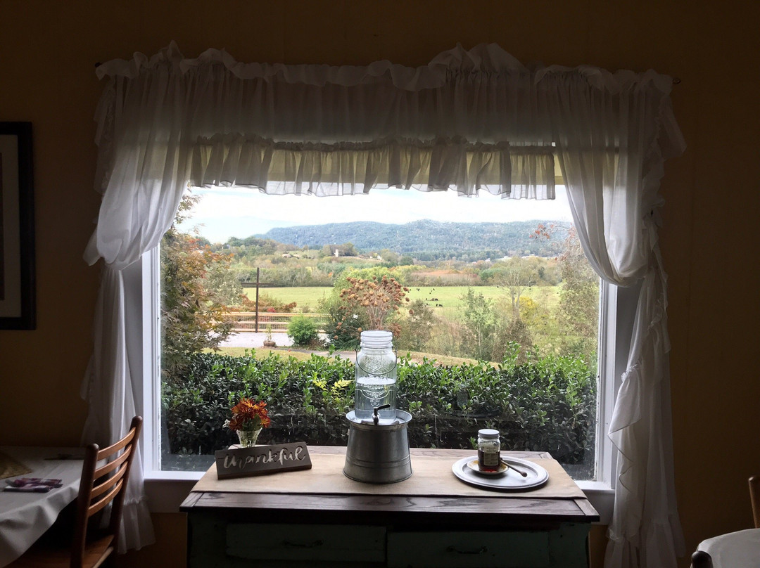 The Pines Country Inn主图