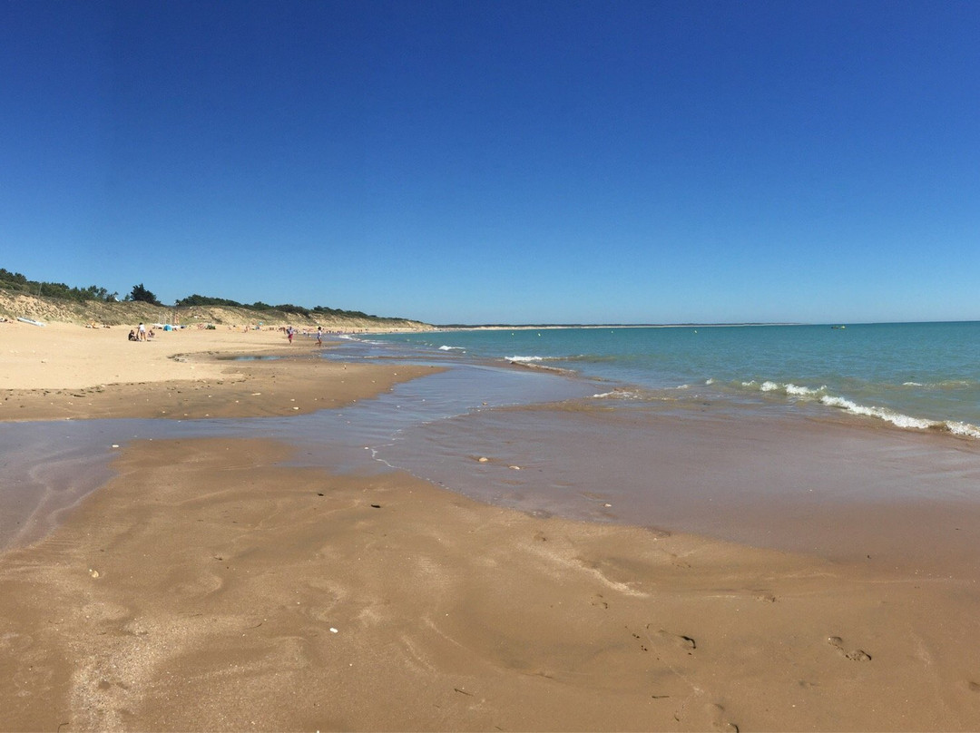 Plage des Conches景点图片