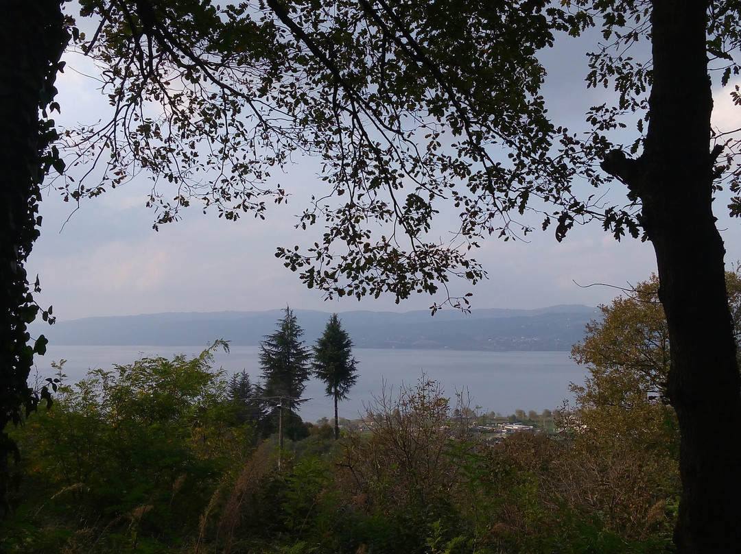 Sakarya Il Ormani Tabiat Parki-Sapanca必去景点
