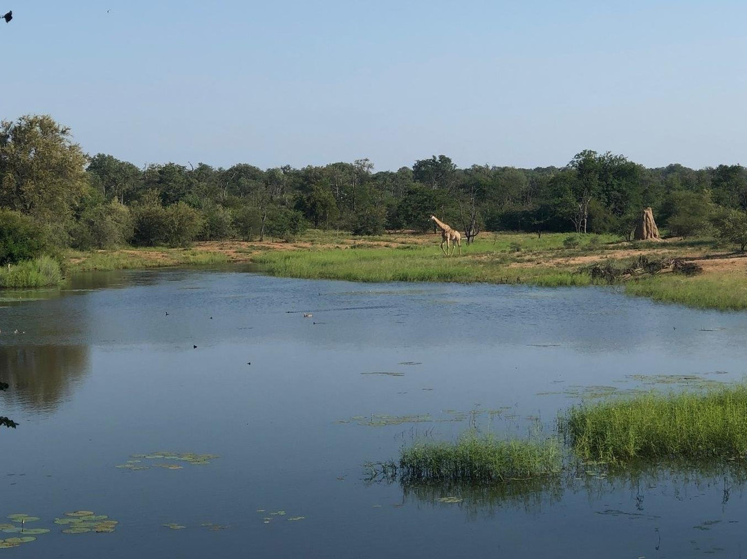 Modgaji Conservation Projects-伐拉博瓦必去景点