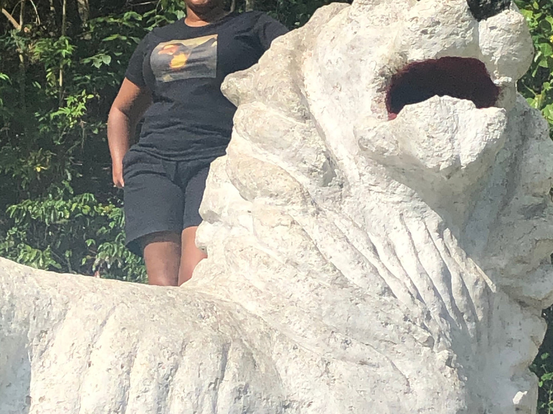 Carson's Taxi & Tour Service-基督城必去景点