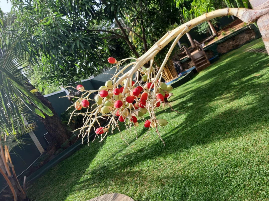 National Holiday Resort主图