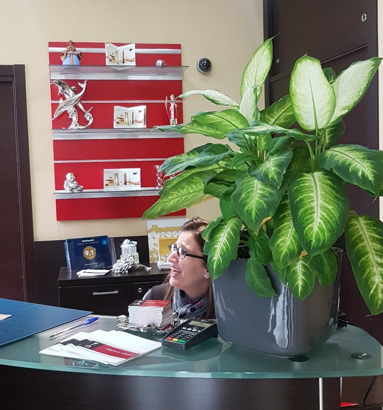 维斯科沃罗索酒店主图