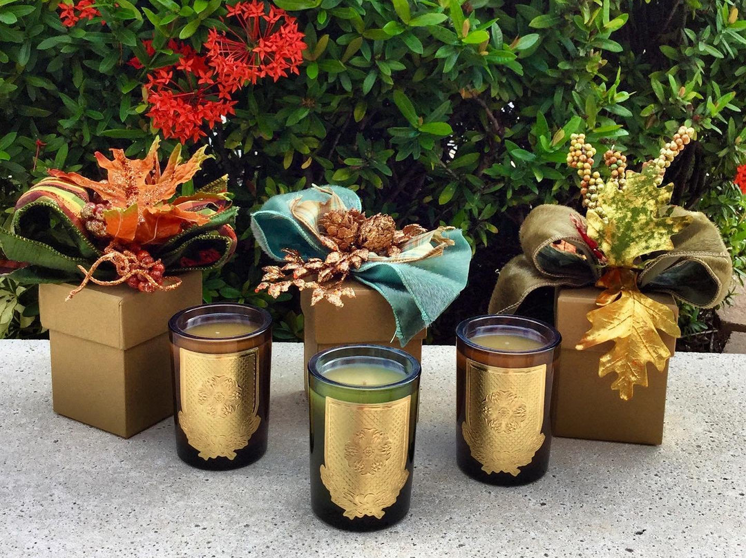 Just/Because-萨拉索塔必去景点