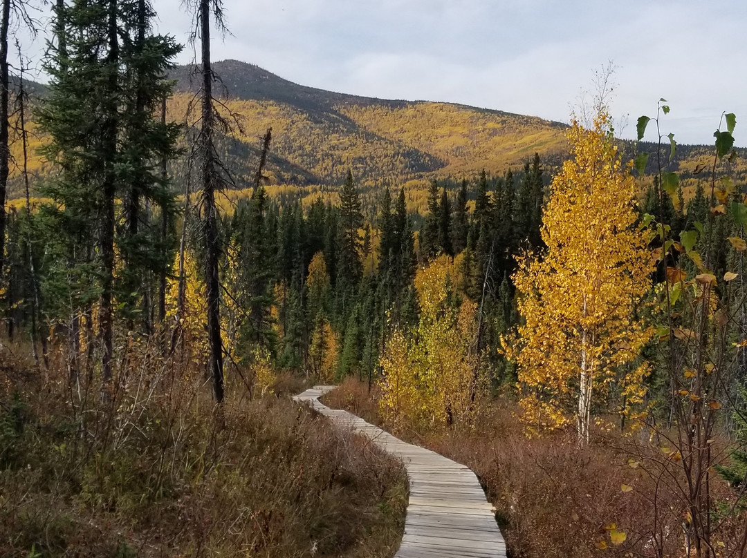 Angel Rocks Trail-费尔班克斯必去景点