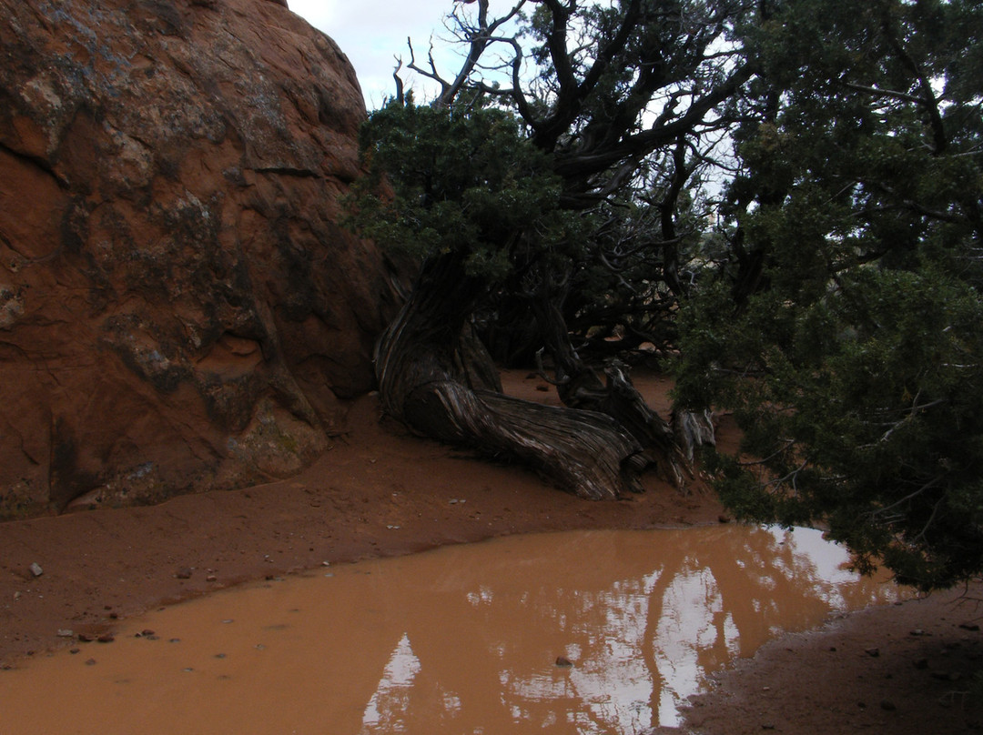 拱门国家公园-莫阿布必去景点