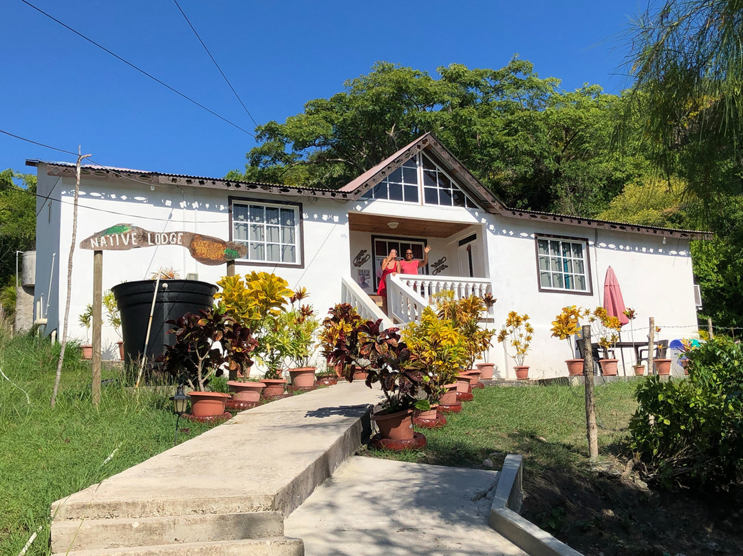 Bahia Suroeste旅游攻略图片