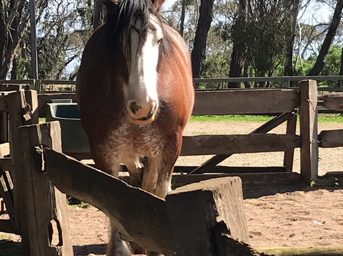 墨尔本中文小团精致游-墨尔本必去景点