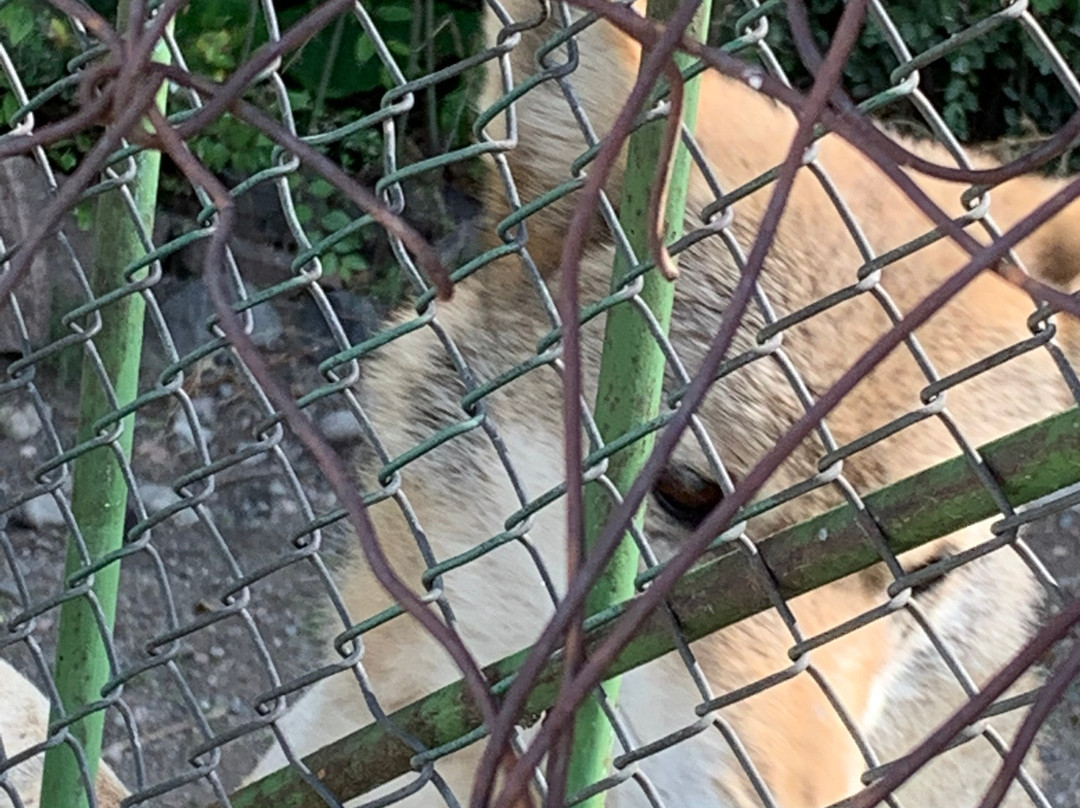 Bugu-Ene Zoo-Karakol必去景点