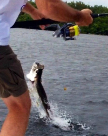 Go Tarpon PR Fishing Charters-卡罗来纳必去景点