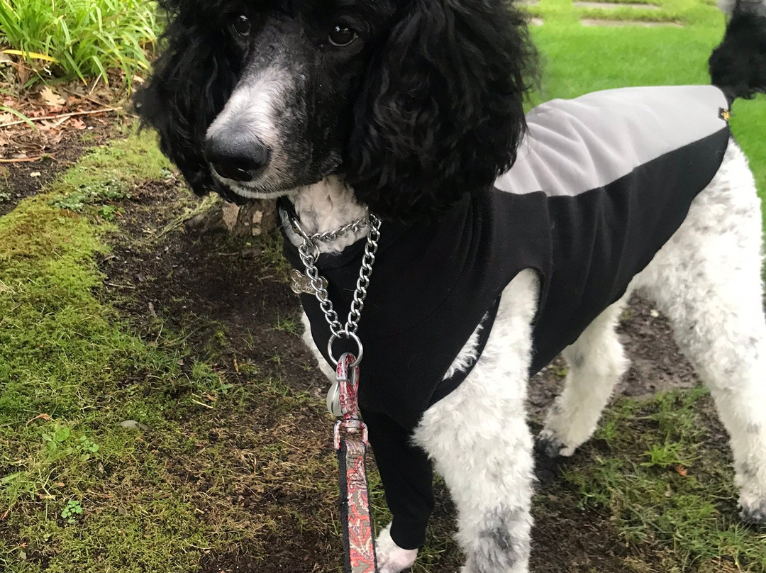 Holiday Inn Express Bellingham by IHG主图