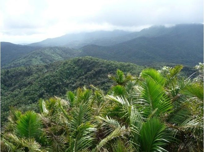 Puerto Rico Green Transportation-Humacao必去景点