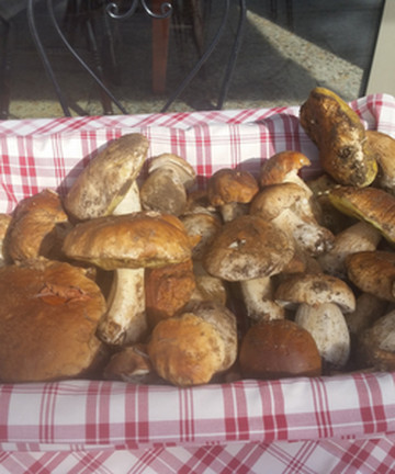 Vineria Ciao dal Chiodo餐厅图片