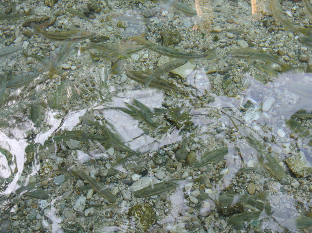 Playa De Los Patos-Los Patos必去景点