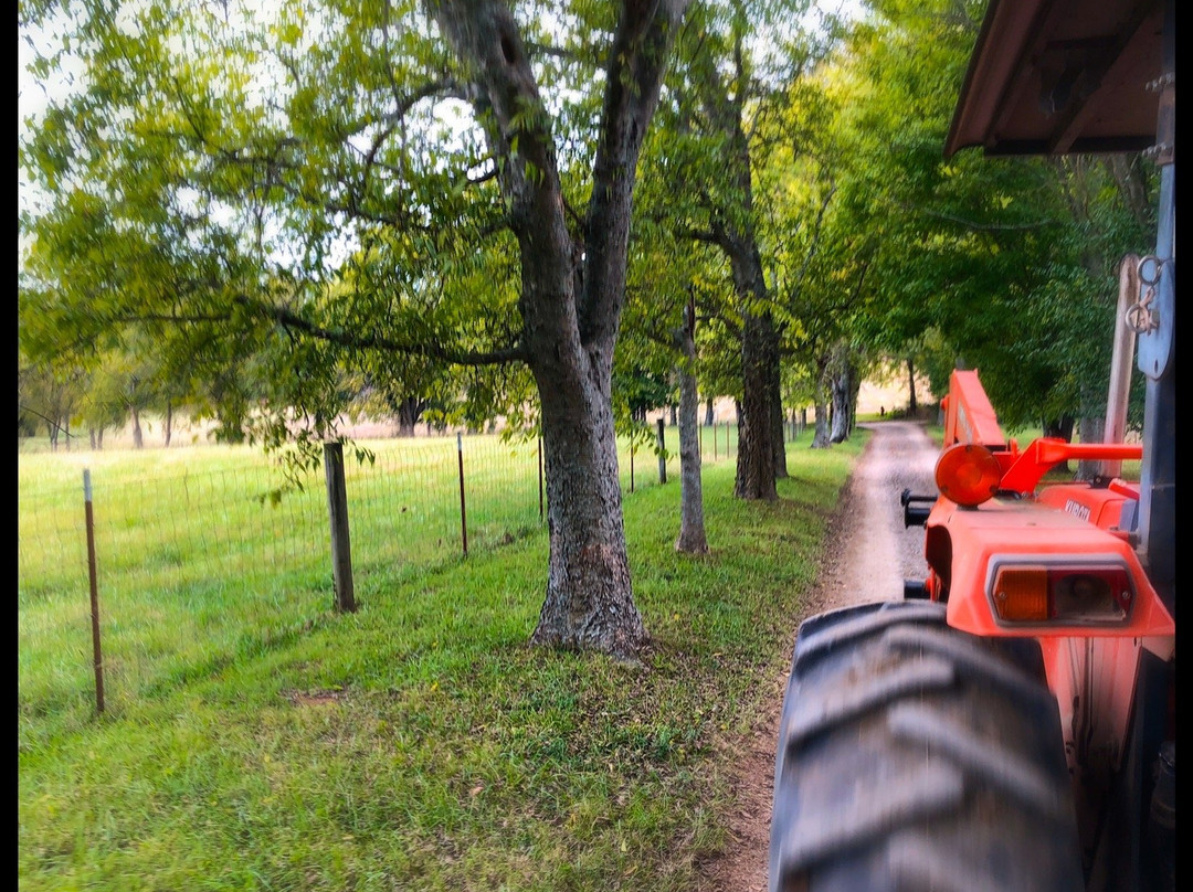 Gentry's Farm-富兰克林必去景点