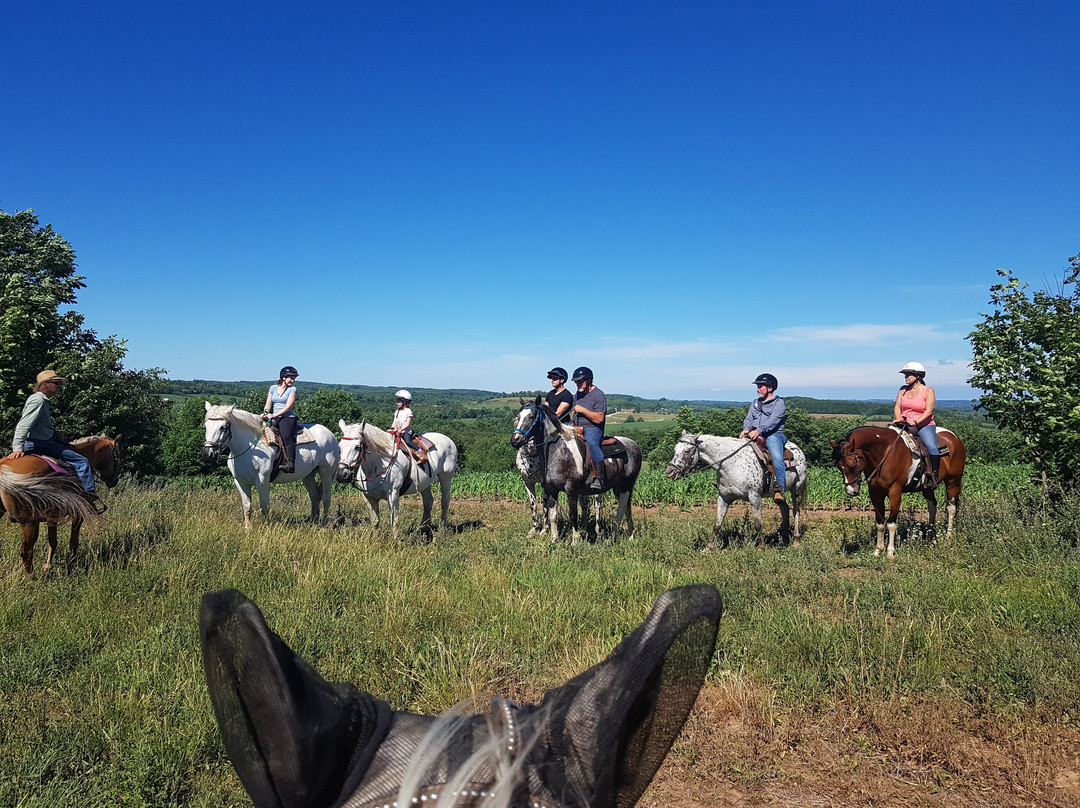Windsong Horse & Carriage Ranch - Horseback Trail Rides景点图片