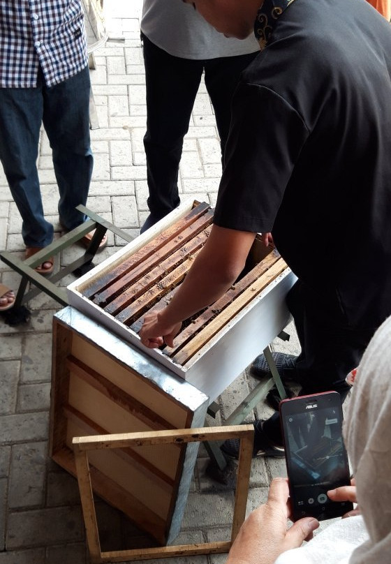 Agro Tawon Wisata Petik Madu-Lawang必去景点