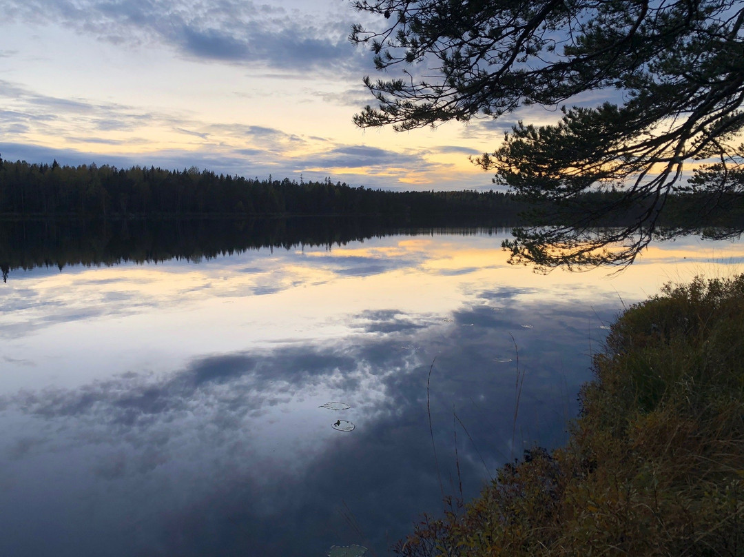 Naturreservatet Florarna-Oesterbybruk必去景点