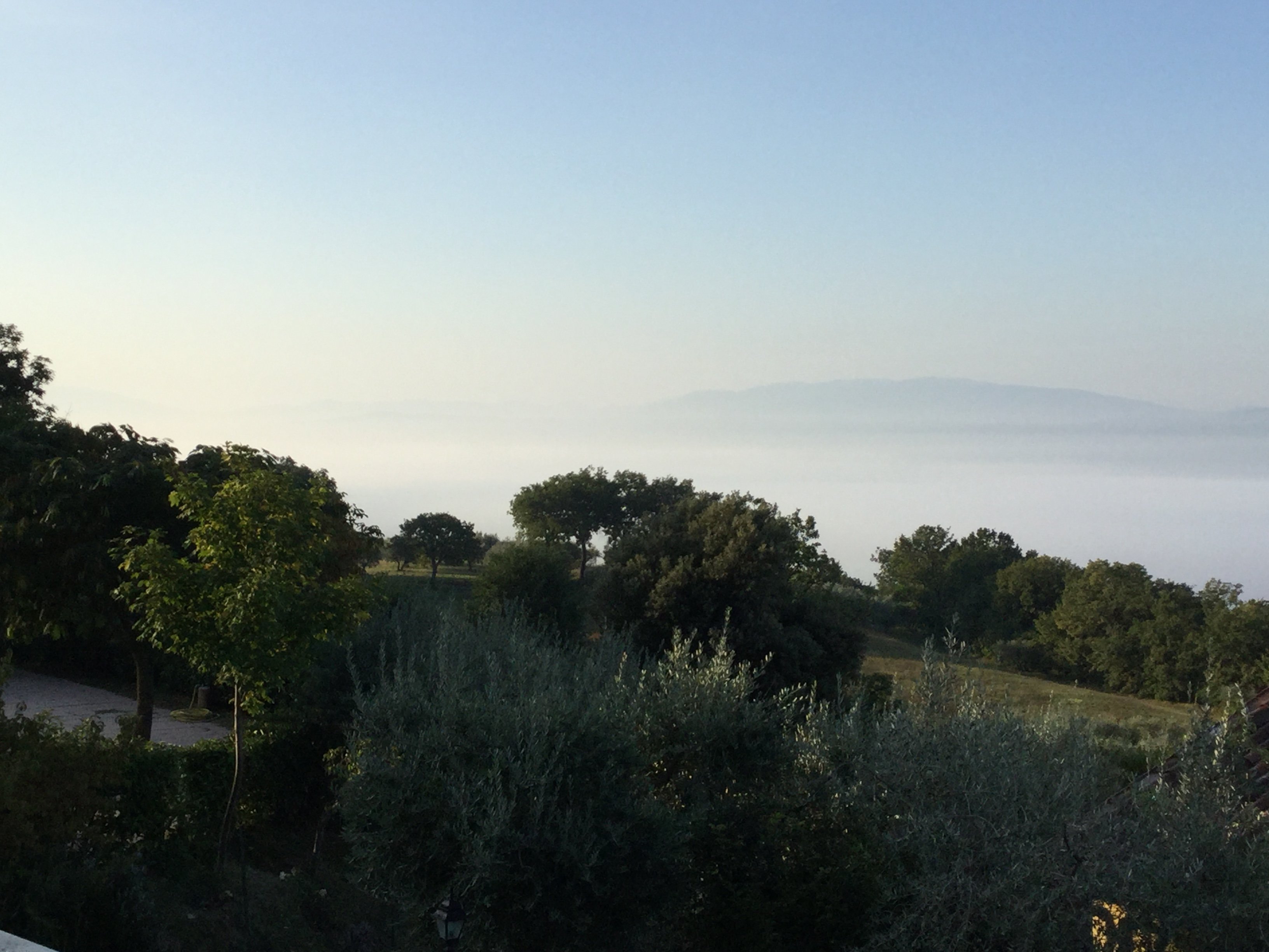 天使酒店-酒店景观