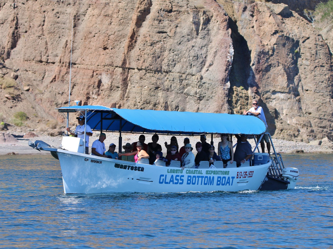 Loreto Coastal Expeditions Glass Bottom Boat景点图片