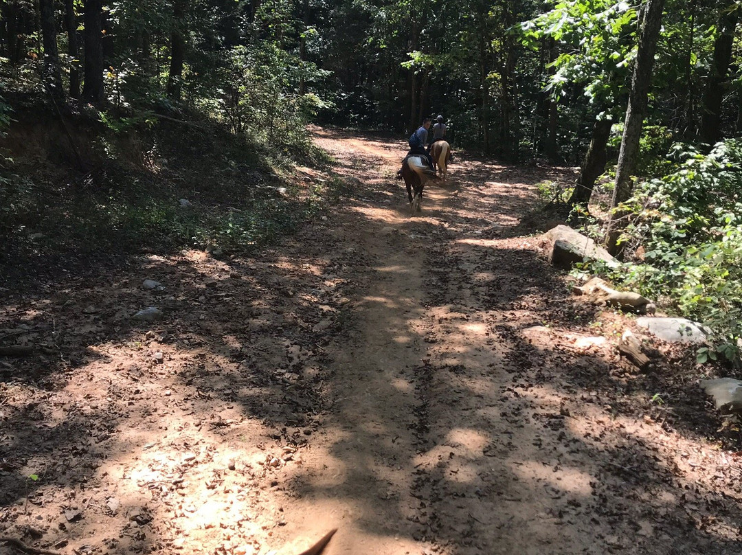 Jesse James Riding Stables-Cave City必去景点