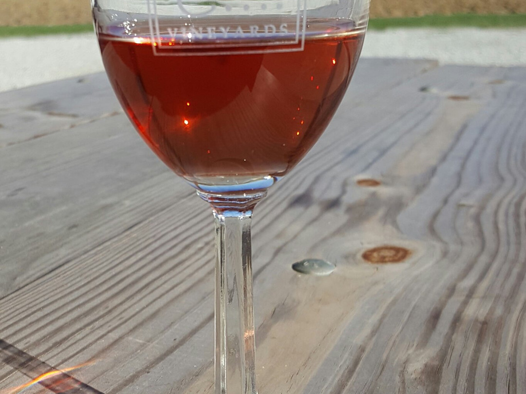 Xenia旅游景点-Caesar Creek Vineyards